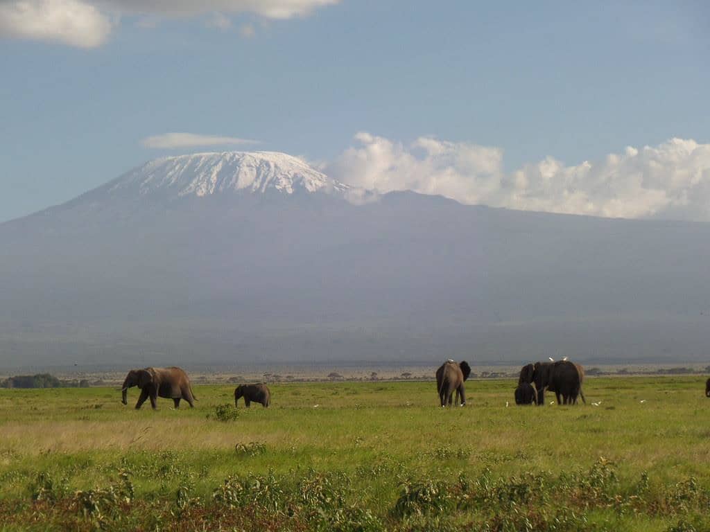 Amboseli Joining Safari