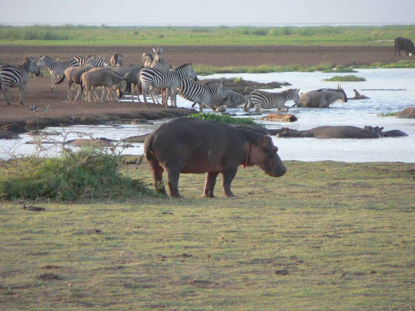 3-Day Safari to Ngorongoro & Lake Manyara National Park