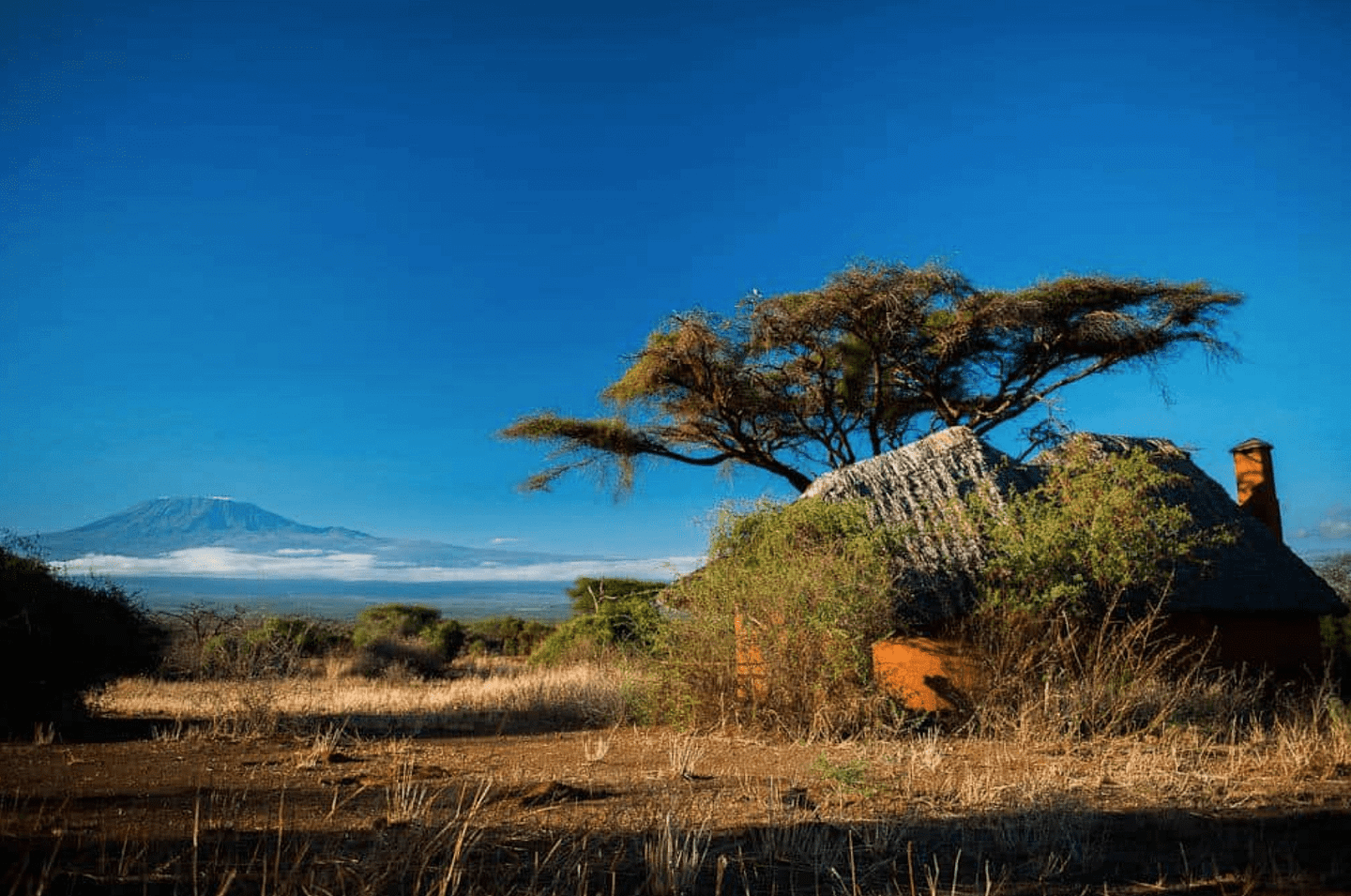 Amboseli-view-of-mt-Kilimanjaro