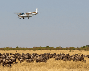 2-Day Mara Fly In Safari