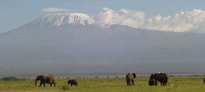 3-Day Amboseli Joining Safari