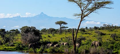 Travel Tips for travelers coming to Kenya to East Africa