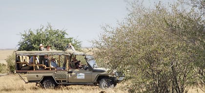 4-Day Naivasha & Maasai Mara Safari