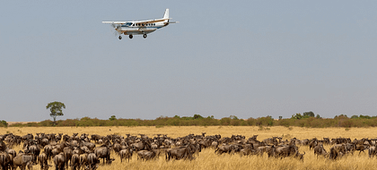 2-Day Mara Fly In Safari