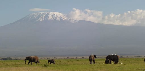 3-Day Amboseli Joining Safari